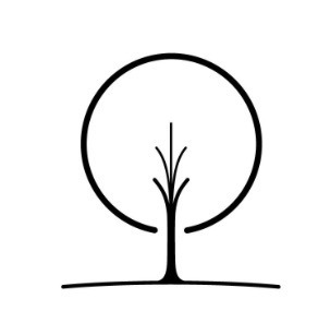 SonderHive Tree Logo